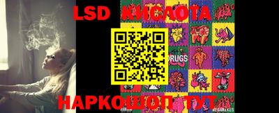 спайс Новодвинск