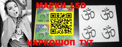 прущие грибы Новозыбков