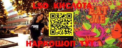 прущие грибы Новозыбков