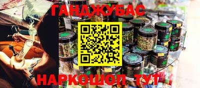прущие грибы Новозыбков