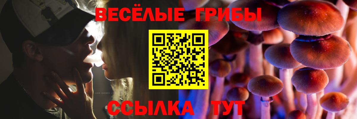 Партизанск  Галлюциногенные грибы GOLDEN TEACHER  Галлюциногенные грибы ЛСД  Вход с VPN 